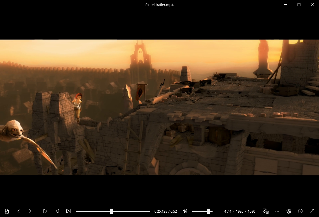 Reiks Viewer showing a paused video, with the time shown to the millisecond and buttons to step one frame back or forward
